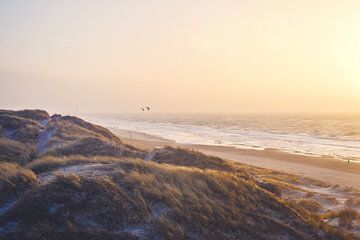 Soirée chaude sur la côte de la mer du Nord sur Florian Kunde