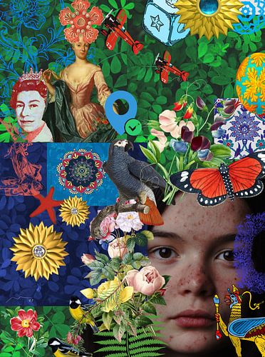 Collage N6