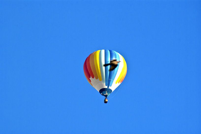 Ballon à air chaud avec colombe par Norbert Sülzner