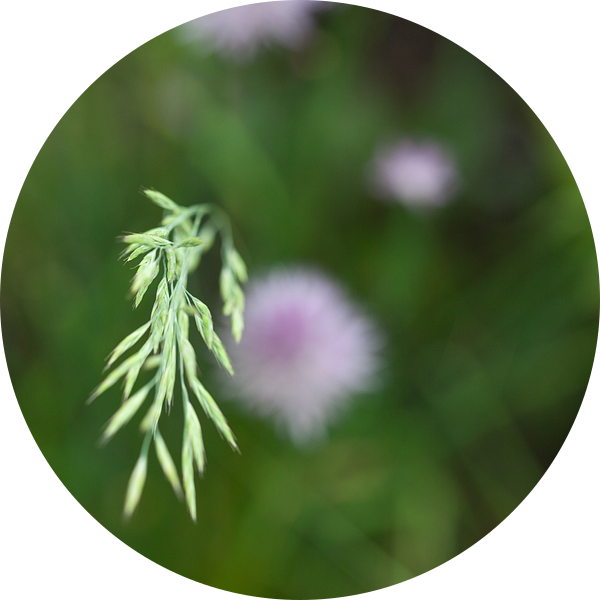 Sta boven van Petra Dreiling-Schewe