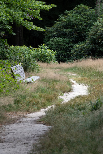 BANKJE IN HET BOS