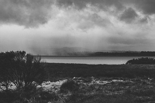 Raglan: Surfparadijs en Creatieve Vibe