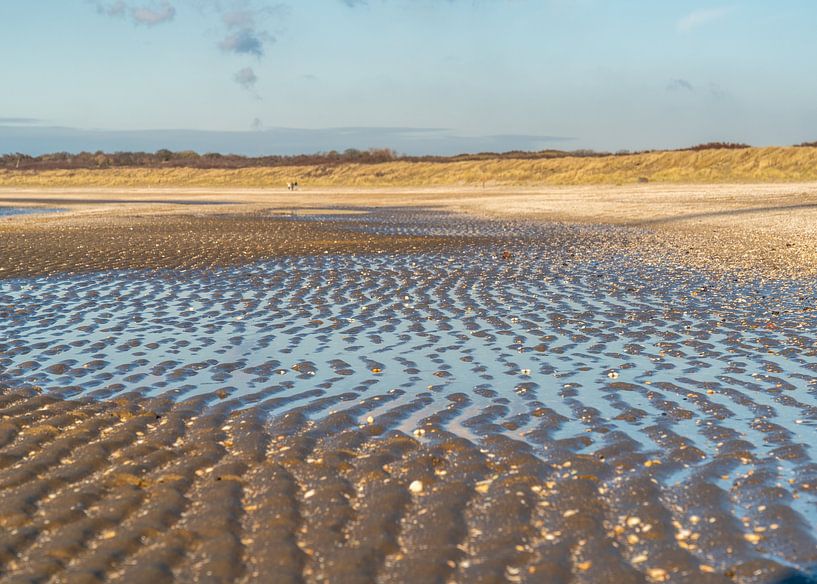 Ribbing sur la plage par Nicolette Eekhof