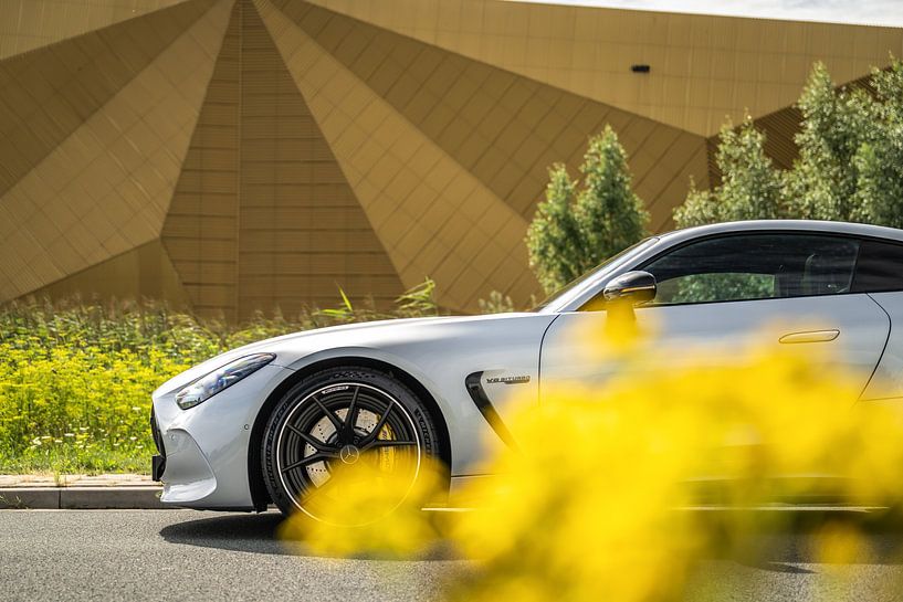 Mercedes-AMG GT63 par Bas Fransen