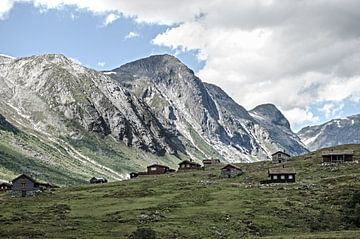 Norvège - Fjell - Aurland