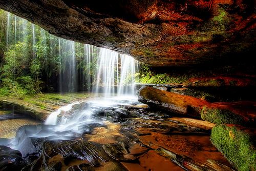 Under The Ledge, Mark Lucey