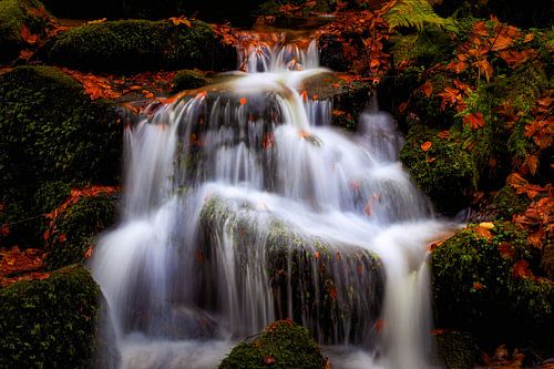 Cascades