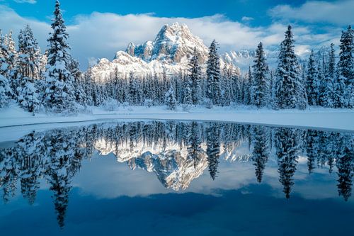 Besneeuwde landschapsreflectie