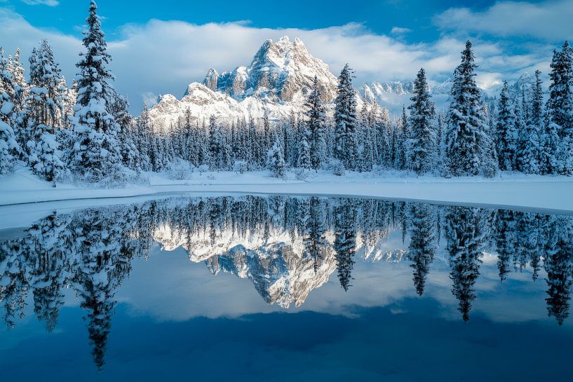 Snowy landscape reflection by Poster Art Shop