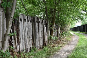 Holzwand mit Kaimauer von Elbkind89