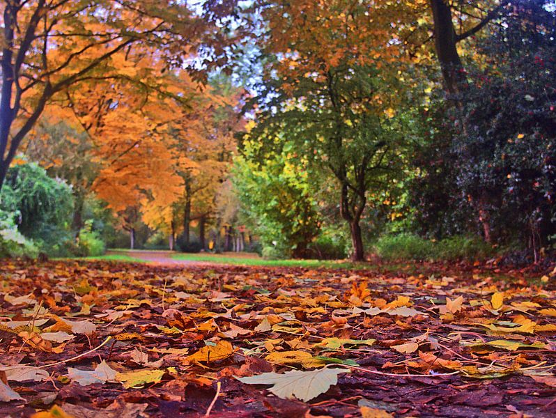 Sol d'automne 1 par Edgar Schermaul