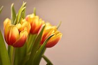 Een geel-oranje tulpenboeket