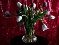 TULPEN 