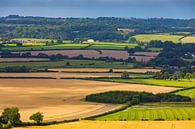 Landscape of Shaftesbury in Dorset, England by Henk Meijer Photography thumbnail