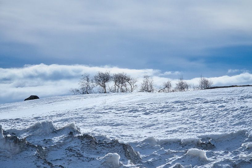 Norwegian high mountains, snow-covered mountains and landscape by Martin Köbsch