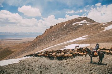 Een herder en zijn dieren steken de bergpas over van Reinier van Oorsouw
