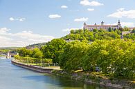 Würzburg op een zomerse dag van Jan Schuler thumbnail