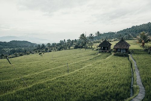 Authentiek tropisch uitzicht in Bali, Indonesië