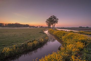 Hollands landschap van Moetwil en van Dijk - Fotografie