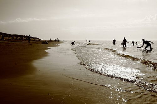 An der Küste von Zeeland von Olaf Eckhardt