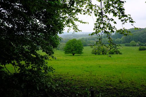 South Limburg hills.
