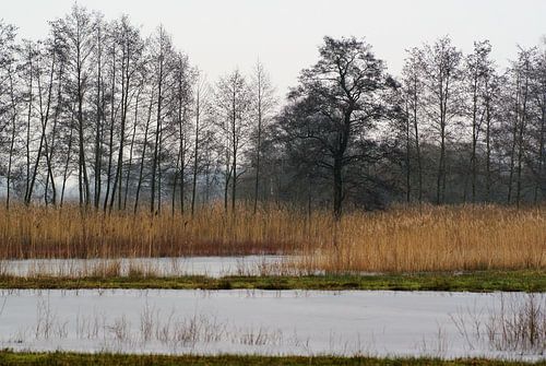 Natuurgebied Achterhoek