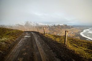 Route dans la nature