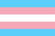 Transgender Pride Flag van Bear Necessities thumbnail