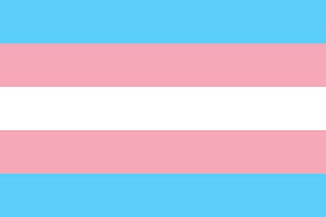 Transgender Pride Flag van Bear Necessities