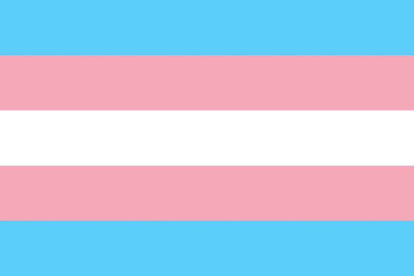 Transgender Pride Flag van Bear Necessities