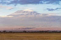 De Kilimanjaro.