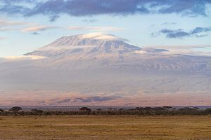 Kilimandscharo.