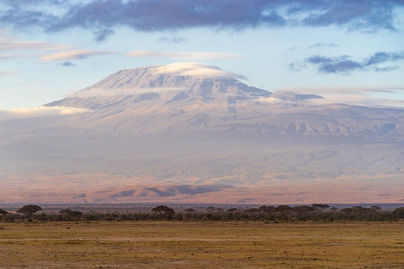 De Kilimanjaro. van Monique van Helden