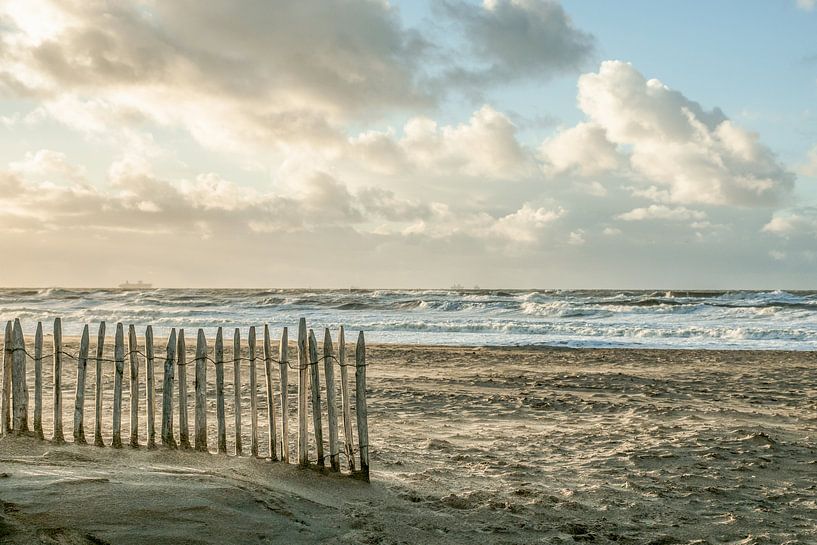 Strandleven! by Dirk van Egmond
