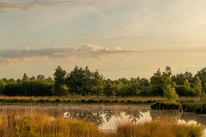 Summer landscape by Hans-Peter Nouwen