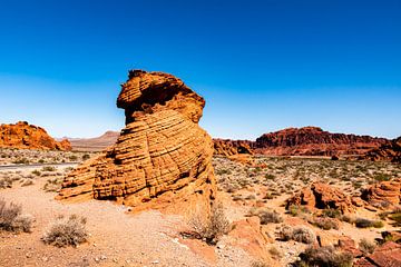 Bizarre Landschaft mit Felsformation im Valley of Fire in Nevada USA von Dieter Walther
