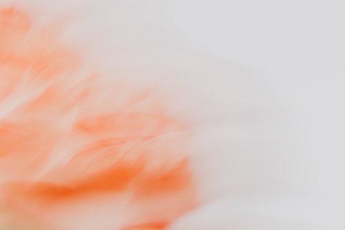 Flow - Abstract floral print