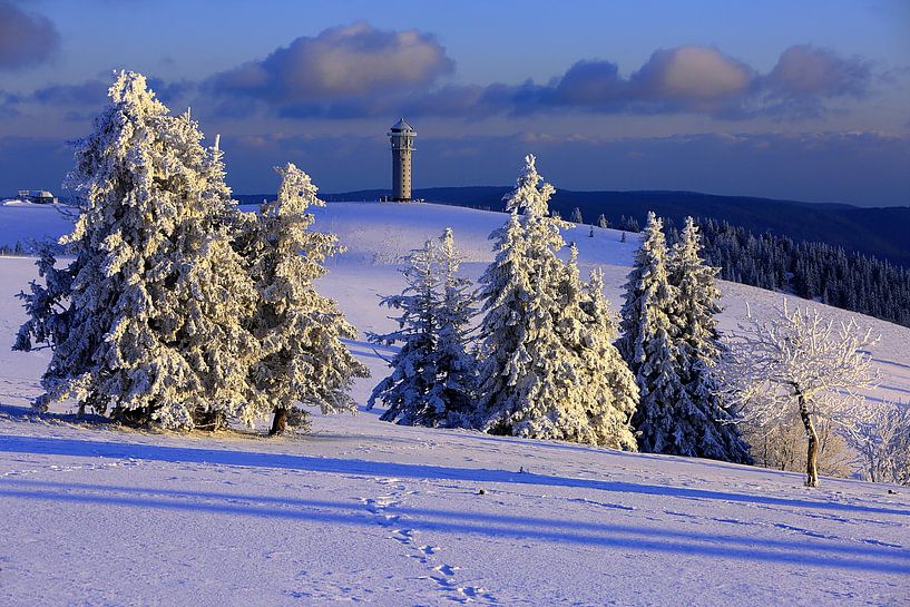 Winter im Schwarzwald von Patrick Lohmüller