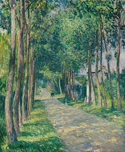 Gespann Auf Einer Sonnigen Straße (circa 1900)