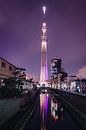 Tokyo Skytree van Sander Peters thumbnail