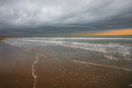 Art of Nature by Dirk van Egmond