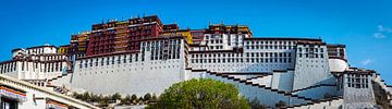 Panoramafoto van het Potala paleis in Lhasa, Tibet van Rietje Bulthuis