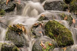 Splash von Jan Koppelaar Fotografie