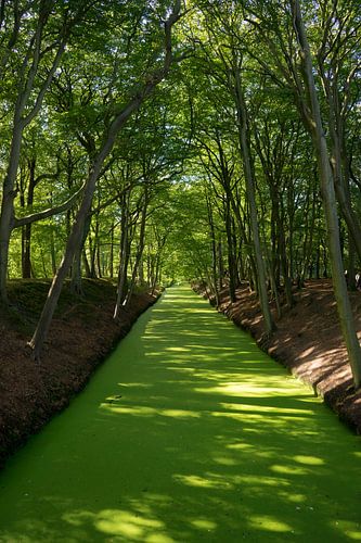 Groene rivier