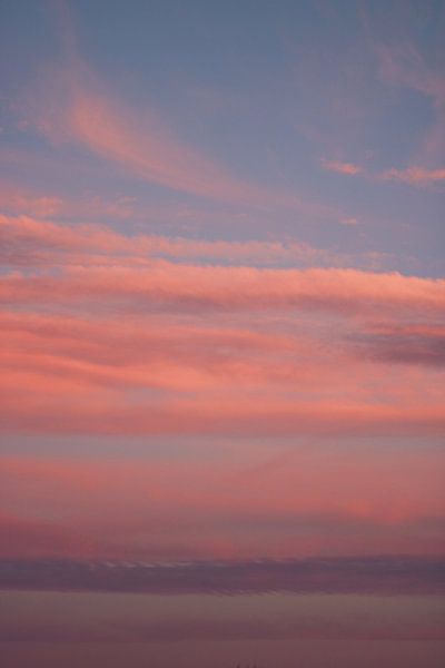 Roze Lucht by Cinthia Mulders