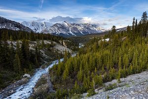 Landschaft in den Rocky Mountains