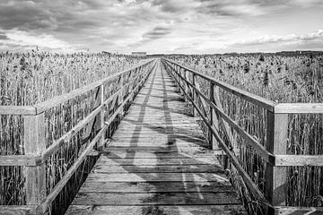 steiger door riet bij Federsee van MindScape Photography