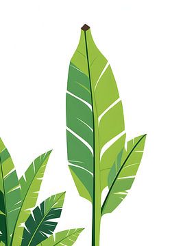 Tropical Banana Leaf by Giandra Safaraz