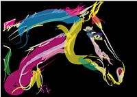 Horse Lovely Colors