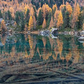 Saoseo reflection by Sander van der Werf